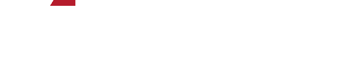 Mementum Electric
